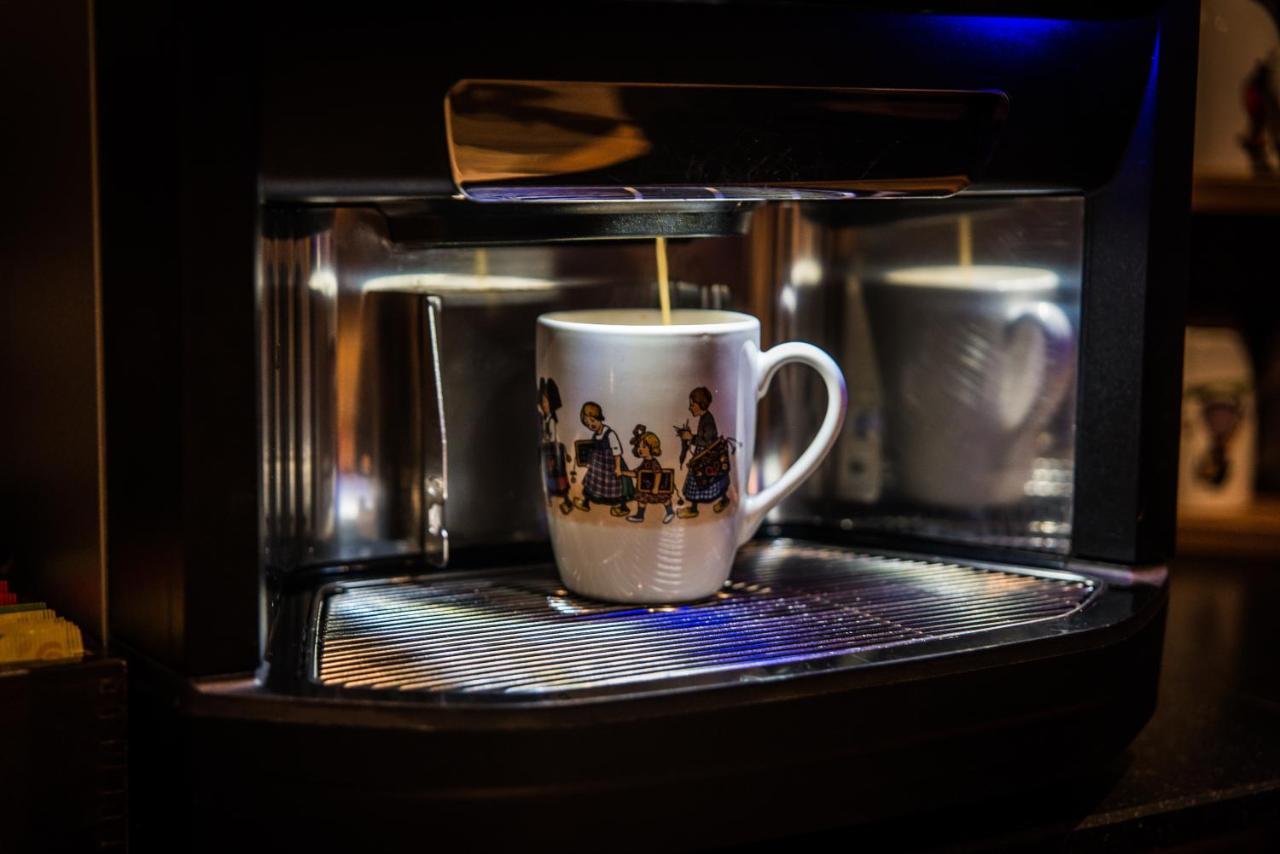 Hotel Au Lion Ribeauvillé Zewnętrze zdjęcie