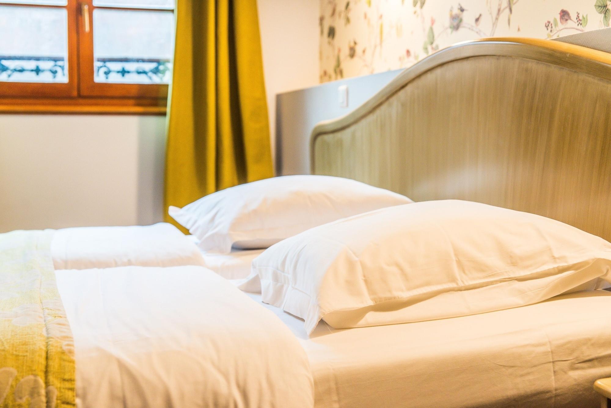 Hotel Au Lion Ribeauvillé Zewnętrze zdjęcie